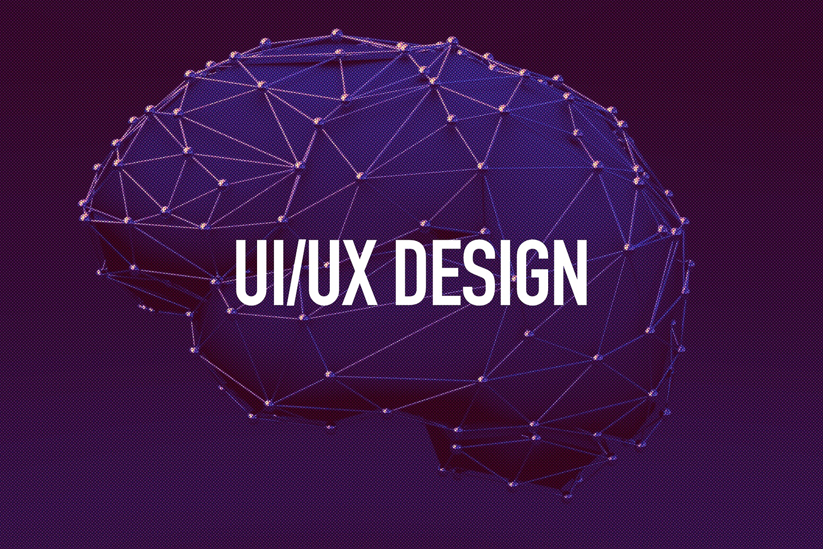 7 Key psychological principles for elevating SMBs’ UI/UX Design