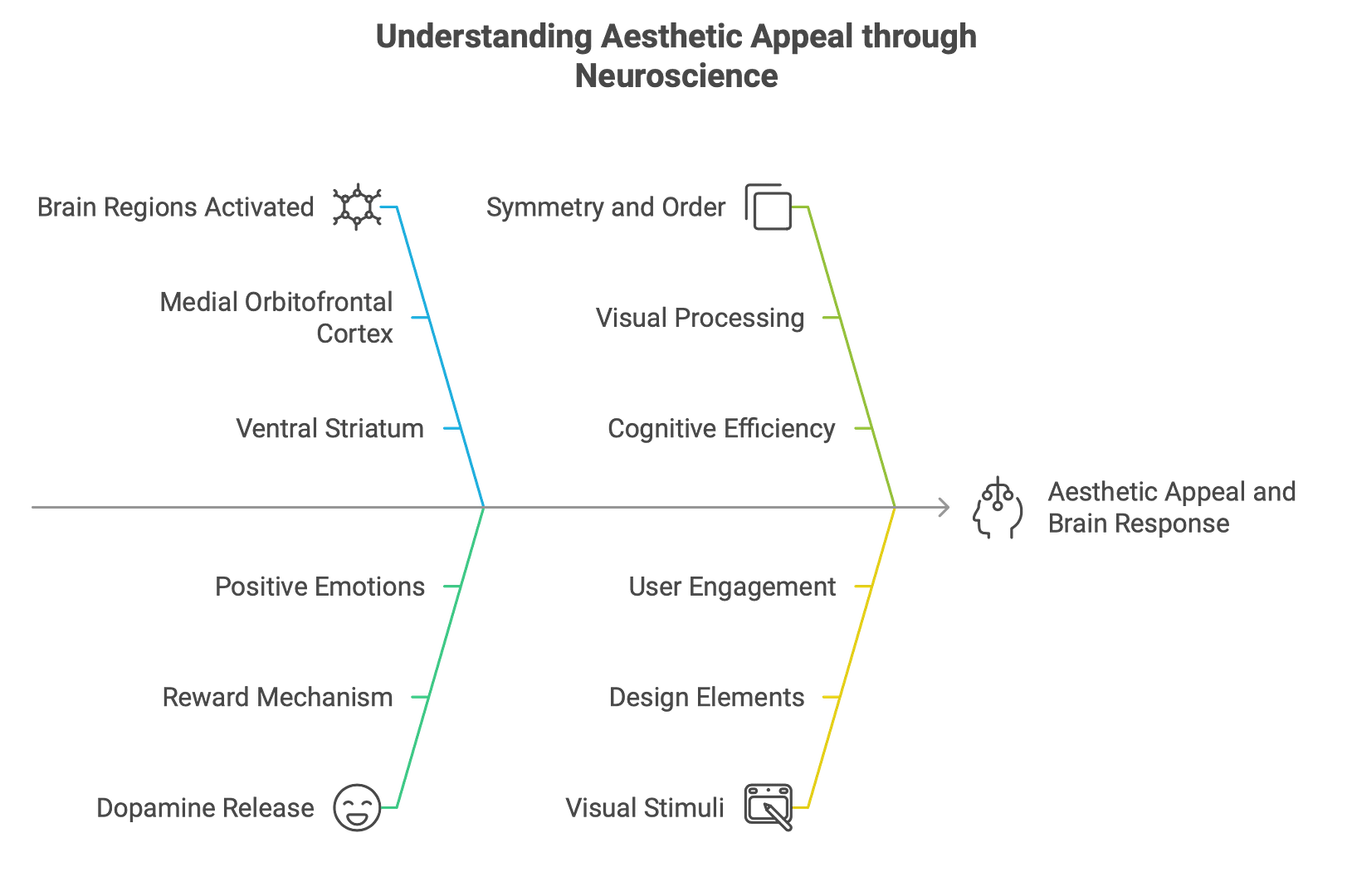 Understanding Aesthetics Appeal 