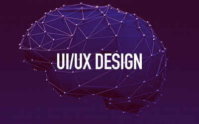 7 Key psychological principles for elevating SMBs’ UI/UX Design